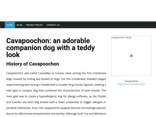 thecavapoochon.com